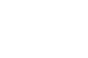 press-logo-wsj